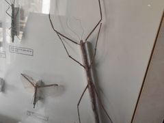 -沈阳植物园