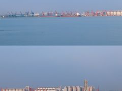 -海鸥岛