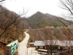 -牛背梁国家森林公园