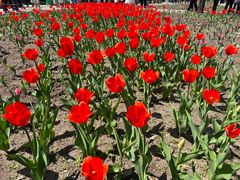 -长春公园(普阳街道)