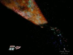-翱翔飞越地平线