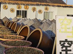 -苏州市吴中区光福窑上花果蜜饯厂