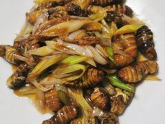 -正德楼果木烤鸭·渔家菜(东港店)