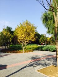 点击看大图 -大望京儿童游乐场