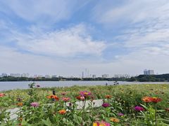 -海珠湖公园