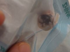 -维乐口腔(美维云门诊陆家嘴店)