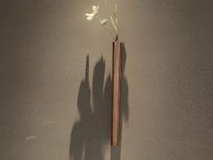 -安屿an·spa(卓悦中心商场店)