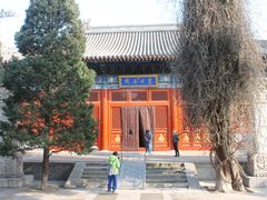 -北京艺术博物馆(万寿寺)