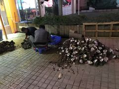 -濠轩阁特色生蚝火锅(水湾路店)
