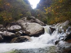 -青峰峡国家森林公园