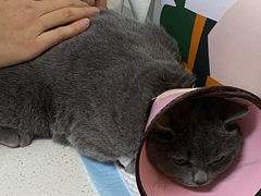 -联合动物医院(光谷诊疗中心)