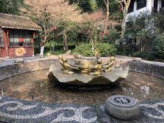 -杭州黄龙洞