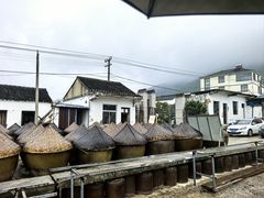 -苏州市吴中区光福窑上花果蜜饯厂