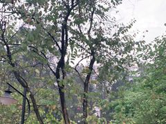 -华南国家植物园-售票处