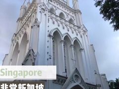-新加坡佛牙寺龙华院