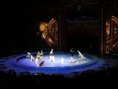 -珠海横琴长隆《卡卡虎奇遇记》