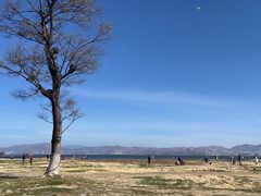 -洱海月湿地公园