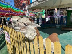 -萌宠亲子动物乐园(槐房万达店)