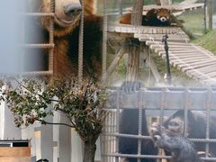 -水上乐园·欢乐世界