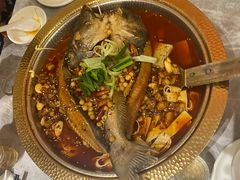 -肥家大排档(天河体育西店)