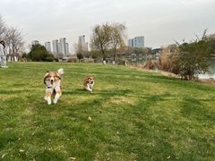 -九里河湿地公园