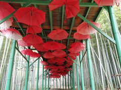 -陶祖圣境风景区
