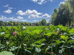 -长春市南湖公园