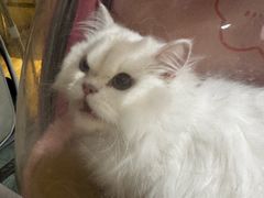-听TA说宠咖·宠物生活馆(天韵水岸店)