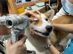 -联合动物医院(光谷诊疗中心)