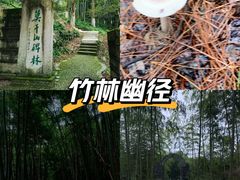 -莫干山风景区