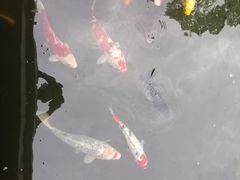 -杭州西湖柳莺里酒店