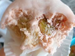 多肉葡萄雪媚娘-好利来(和平山大路店)