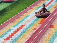 -黄海国家森林公园