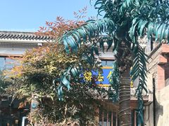 -都江堰石锅鱼
