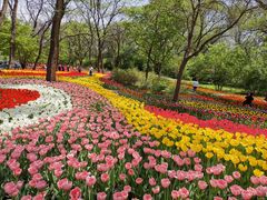 -沈阳植物园
