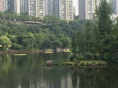 景点-重庆彩云湖湿地公园