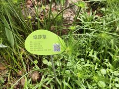 -云溪植物园