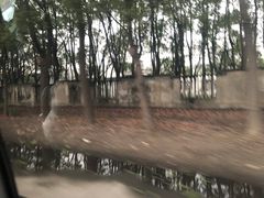 -胜华驾校·小猫学车(银都店)
