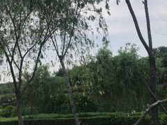 -西安汉城湖景区