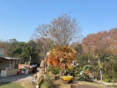 -HERRE·FARM 赫尔露营农场·团建聚会包场