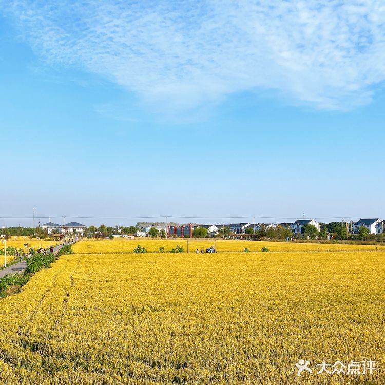 苏州望亭 御亭路98号