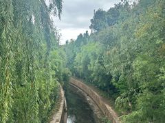 -洛龙公园