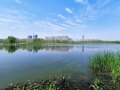 -滨湖塘西河公园