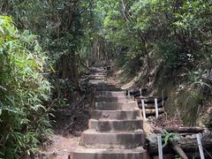 -狮子山郊野公园