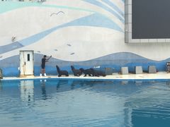 -北戴河圣蓝海洋公园