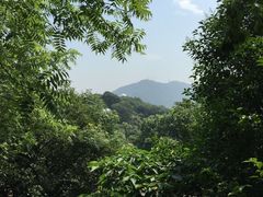 -紫金山天文台