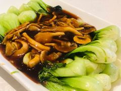 青菜炒香菇-徽珍源(龙茗路店)