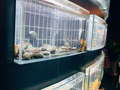 -鱼翅楼·津派砂锅鱼翅(水上公园店)