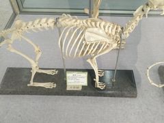 -北京中医药大学-中医药博物馆