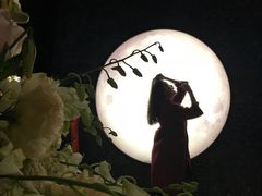 -STARRY CAFE & LOUNGE BAR(高新店)